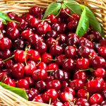 Ciliegie, maltempo dimezza raccolto. Confagricoltura: comparto in ginocchio