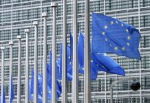 Europee 2019, vademecum per il voto