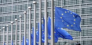 Europee 2019, vademecum per il voto
