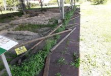 Pontecagnano. Parco Archeologico, attiva raccolta fondi per rimediare ai danni dell’intimidazione