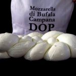 Mozzarella-di-bufala-campana-dop