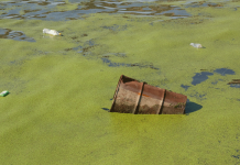 Ecoreati, un “portafoglio” criminale gestito da 90 clan