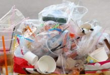 Plastica monouso, da oggi via al percorso che la elimina dagli scaffali