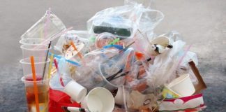 Plastica monouso, da oggi via al percorso che la elimina dagli scaffali