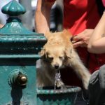 Estate rovente, per i metereologi è soltanto l’inizio