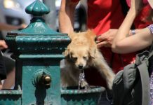 Estate rovente, per i metereologi è soltanto l’inizio