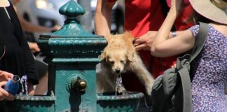 Estate rovente, per i metereologi è soltanto l’inizio