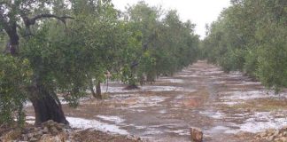 Maltempo, la “tropicalizzazione” raddoppia le grandinate estive