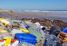 Plastic Free: la presa di coscienza più discussa degli ultimi anni
