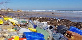 Plastic Free: la presa di coscienza più discussa degli ultimi anni