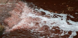 Solofrana, denuncia in Procura. L’allarme di cittadini e istituzioni