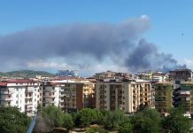 Valore diossine superato, a Battipaglia è stato disastro ambientale