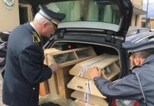 Canarini strapazzati e armi, sequestri della Gdf di Catania sulla nave proveniente da Salerno