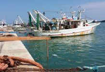 Stop al pesce fresco. Anche nel Tirreno scatta il fermo pesca