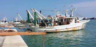 Stop al pesce fresco. Anche nel Tirreno scatta il fermo pesca