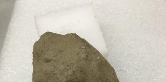 Paestum, scoperto un frammento di scultura arcaica nel santuario di Athena