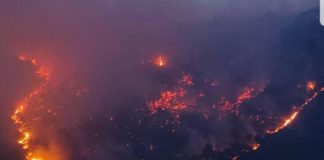 Incendio Sarno, la follia di sei giovani: “E’ stata una bravata”