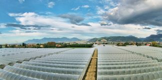 Piana del Sele, terreni agricoli ad alta vulnerabilità da nitrati. Regione in ritardo sulle direttive europee