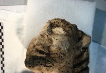 Paestum, nuova scoperta. Affiora una testa di travertino