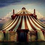 Si al circo, ma senza animali: approvata la mozione in Campania