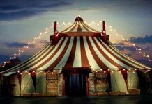 Si al circo, ma senza animali: approvata la mozione in Campania