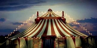 Si al circo, ma senza animali: approvata la mozione in Campania