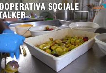 Cooperativa Sociale Stalker, la cura attraverso il lavoro