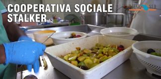 Cooperativa Sociale Stalker, la cura attraverso il lavoro