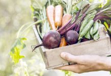 Clima, Coldiretti lancia il decalogo della spesa sostenibile