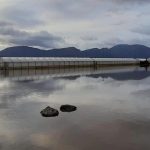 Maltempo danneggia coltivazioni nell’Agro: l’allarme della Coldiretti