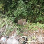 IMG-20191105-WA0042