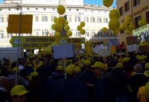 Emergenza cinghiali, scendono in piazza anche i sindaci del salernitano