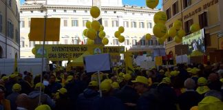 Emergenza cinghiali, scendono in piazza anche i sindaci del salernitano