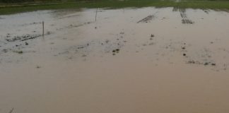 Maltempo, danni ingenti alle coltivazioni