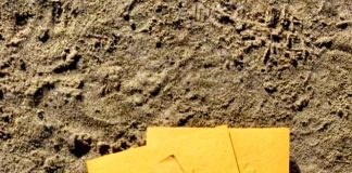 Quadernini in viaggio: il progetto di “Giallo on the road”