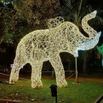 Salerno s’illumina di Luci D’artista