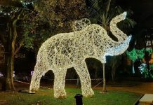 Salerno s’illumina di Luci D’artista