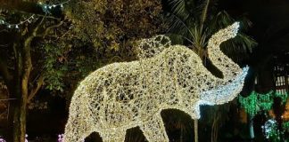 Salerno s’illumina di Luci D’artista