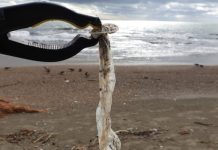 Salerno e le sue montagne di rifiuti: traffici illeciti e istituzioni assenti