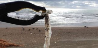 Salerno e le sue montagne di rifiuti: traffici illeciti e istituzioni assenti