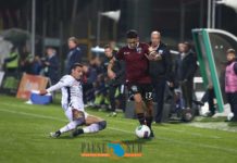 Salernitana-Venezia, le probabili formazioni: granata senza Djuric, ma con Cicerelli dal 1’
