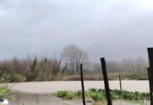 Maltempo, danni incalcolabili per l’agricoltura. Regione stanzia 8 milioni