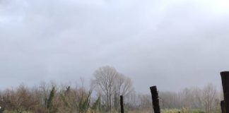 Maltempo, danni incalcolabili per l’agricoltura. Regione stanzia 8 milioni