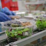 Ortoromi, licenziata una dipendente per essersi iscritta al sindacato