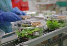 Ortoromi, licenziata una dipendente per essersi iscritta al sindacato