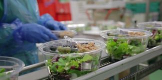 Ortoromi, licenziata una dipendente per essersi iscritta al sindacato