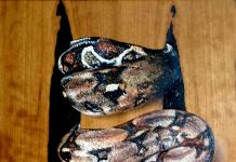 Alla scoperta dell’arte con Ross Carpentieri