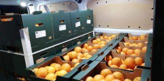 Spremuta solidale, la filiera pulita delle arance senza sfruttamento