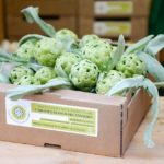 A Bianco Tanagro il riconoscimento “Sagra di qualità”. Lunedì la consegna al Senato