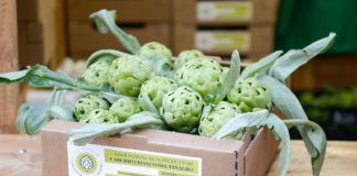 A Bianco Tanagro il riconoscimento “Sagra di qualità”. Lunedì la consegna al Senato